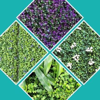 DECORACIÓN