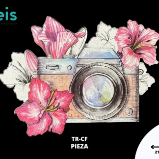 PARCHES DTF CAMARA FOTOGRAFICA PATR-0065 21.5cmX16cm ROSA
