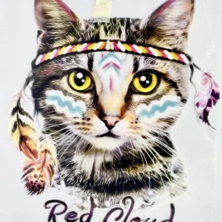 PARCHES DTF GATO INDIE RED CLOUD PATR-0134