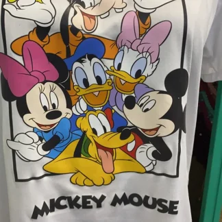 PARCHES DTF MICKEY MOUSE Y AMIGOS EN RECUADRO PATR-0212