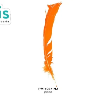 PLUMA PAVO ALA REF: 10""-12"" NARANJA UNIDAD