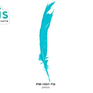 PLUMA PAVO ALA REF: 10""-12"" TURQUESA UNIDAD