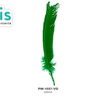 PLUMA PAVO ALA REF: 10""-12"" VERDE UNIDAD