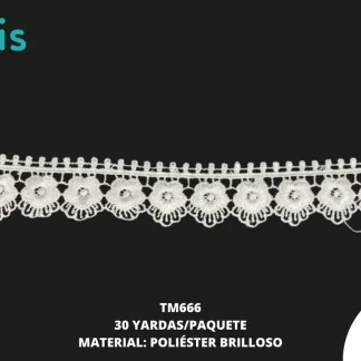 GUIPIUR POLIESTER BRILLOSO PLANO 3.5 CM TM666 15 YDS/PQT BLANCO